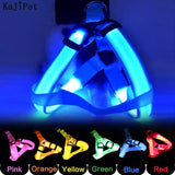 LED Glow Collar / Harness