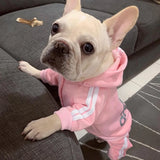 Dog Sweater Hoodie