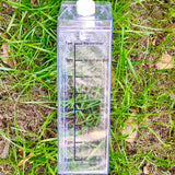 Clear Carton Water Bottle