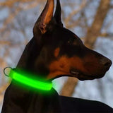 LED Glow Collar / Harness