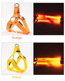 LED Glow Collar / Harness