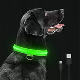 LED Glow Collar / Harness