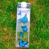 Clear Carton Water Bottle