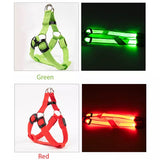 LED Glow Collar / Harness