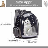 Pet Backpack (Air-Vented)