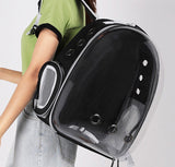 Pet Backpack (Air-Vented)