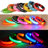 LED Glow Collar / Harness