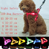 LED Glow Collar / Harness