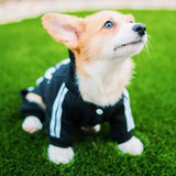 Dog Sweater Hoodie