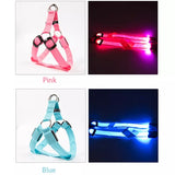 LED Glow Collar / Harness