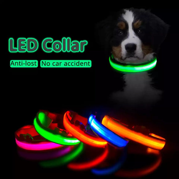 LED Glow Collar / Harness