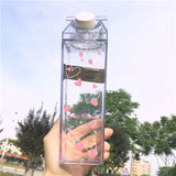 Clear Carton Water Bottle