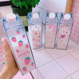 Clear Carton Water Bottle