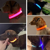 LED Glow Collar / Harness